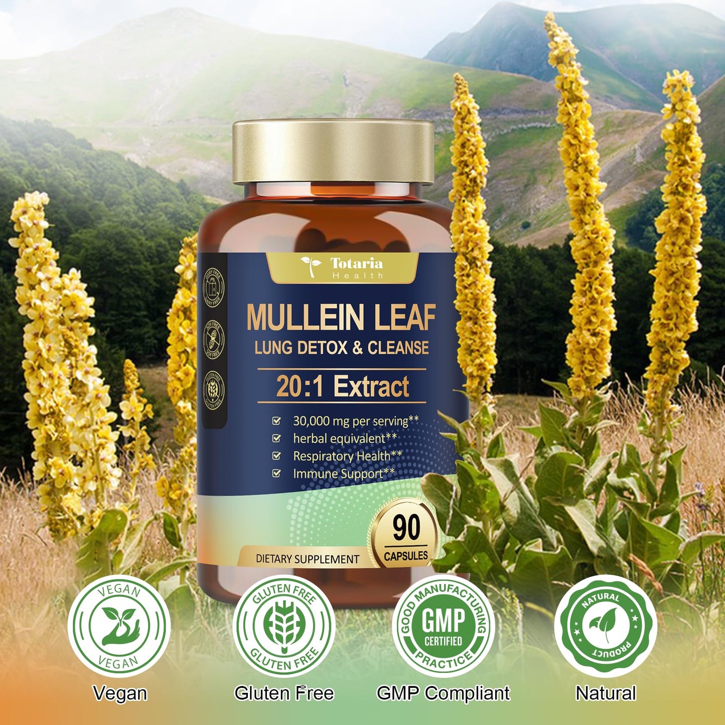 Mullein Leaf Extract for Lungs with 30000mg Mullein Leaf per Serving, Mullein Capsules with Calendula for Lung Detox & Cleanse, Herbal Supplements for Respiratory Health & Immunity - 90 Vegan Caps
