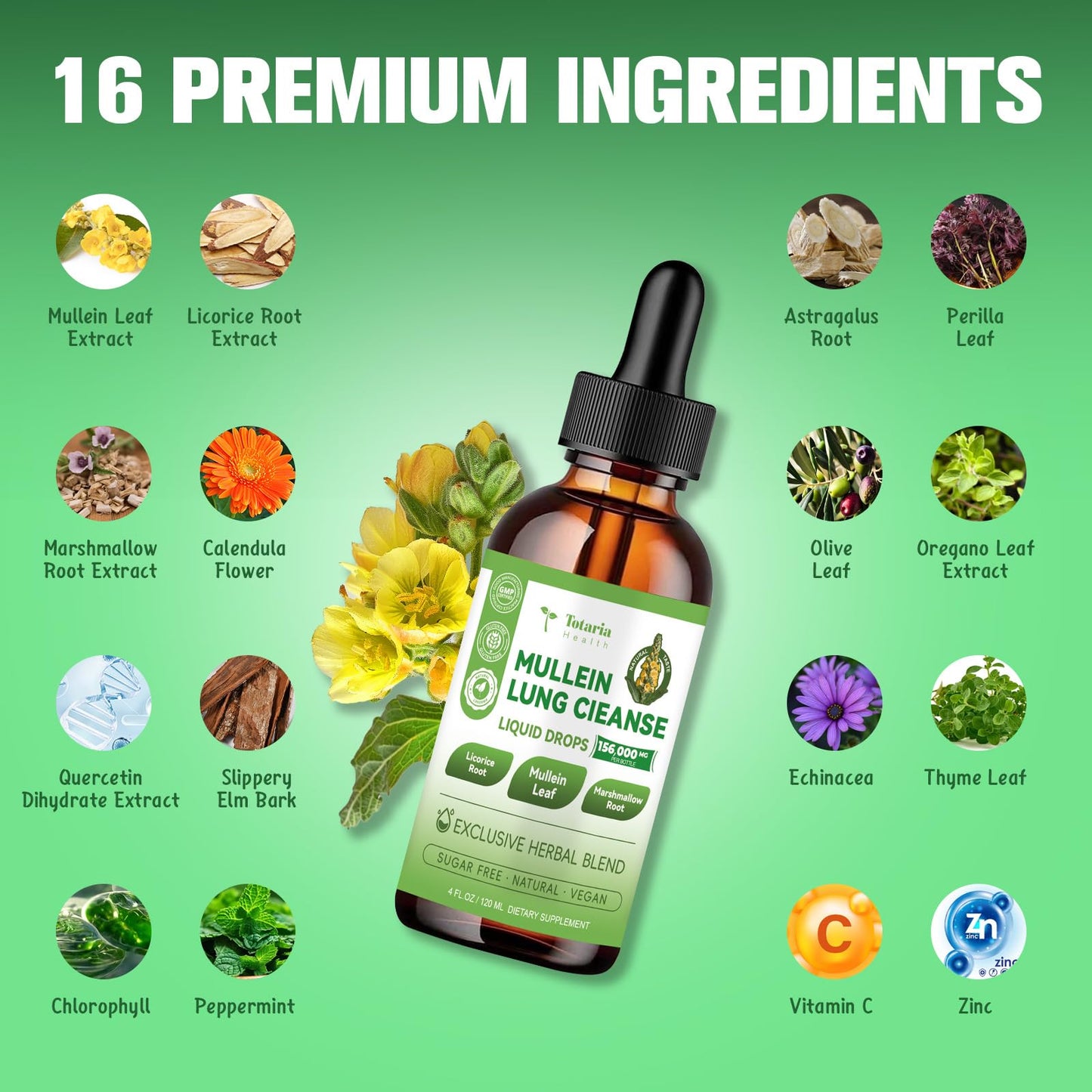 16-in-1 Mullein Drops for Lungs with 16000MG Mullein Leaf per Serving, High Potency Mullein Drops with Licorice Root, Marshmallow Root for Lungs, Respiratory and Immune Wellness, 4 FL.OZ