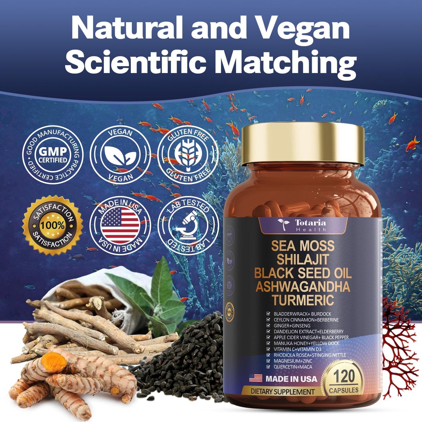 25-in-1Sea Moss Black Seed Oil Ashwagandha Ginger Shilajit Supplement 18525mg, Sea Moss Capsules with Bladder Burdock Ceylon Cinnamon Berberine ACV Manuka VIT C&D3 for Immune, Gut & Energy, 120 Caps