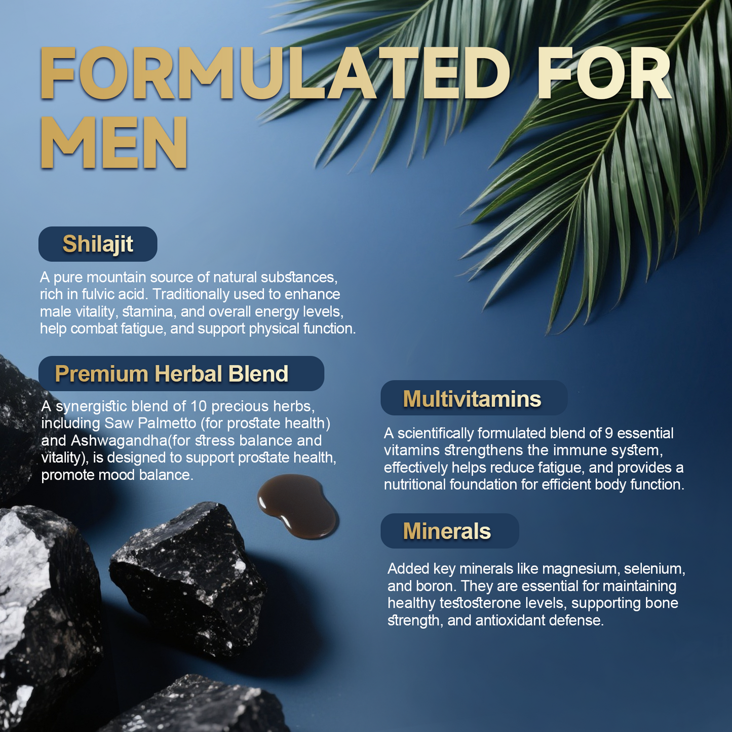 Shilajit Liquid Drops with Saw Palmetto .Ashwagandha .Pumpkin Seed Oil .Sea Moss,Multivitamin - Shilajit for Men - Support Prostate Health & Hair,Energy & lmmune Function - 2FL - Pineapple Flavor
