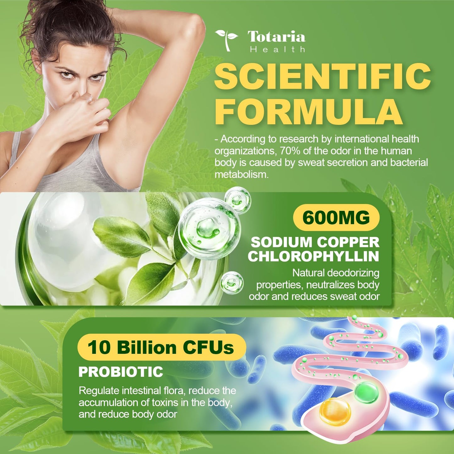 Body Deodorizing Supplement - Chlorophyll Body Deodorizing Capsules with Probiotic & Prebiotic, Magnesium, Zinc, L-Glutamine Deodorant Supplements, 120 Count