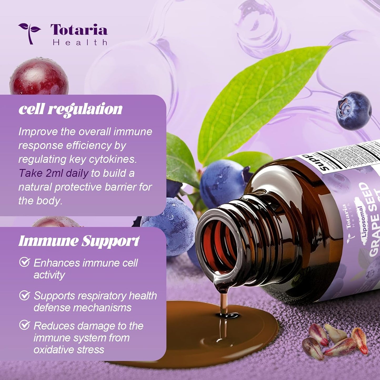 Grape Seed Extract Liquid Drops | High Potency 95% Polyphenols Antioxidant Supplement for Skin, Heart & Immune Support | Vegan, Gluten Free | Alcohol-Free & Non-GMO | 2FL