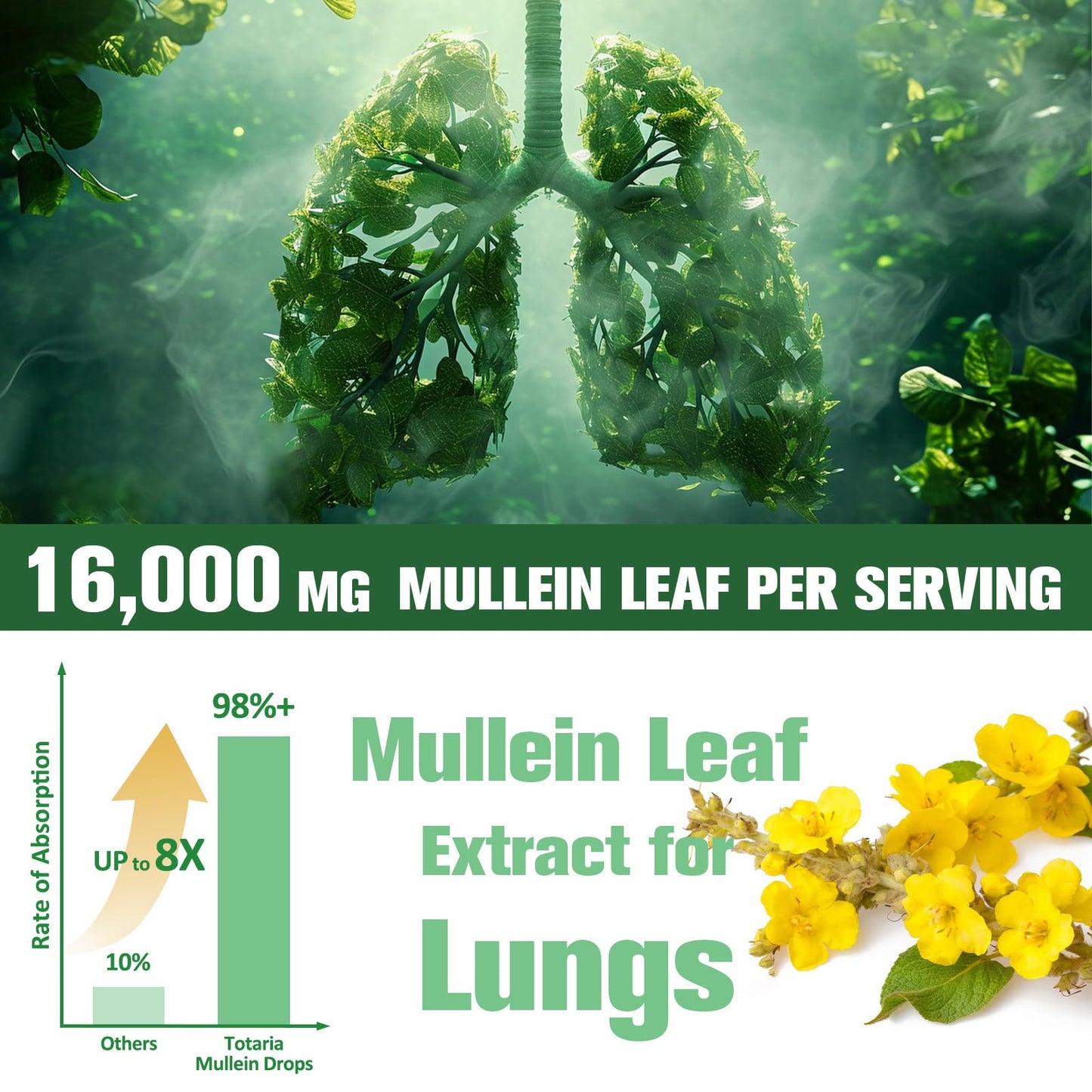 16-in-1 Mullein Drops for Lungs with 16000MG Mullein Leaf per Serving, High Potency Mullein Drops with Licorice Root, Marshmallow Root for Lungs, Respiratory and Immune Wellness, 4 FL.OZ