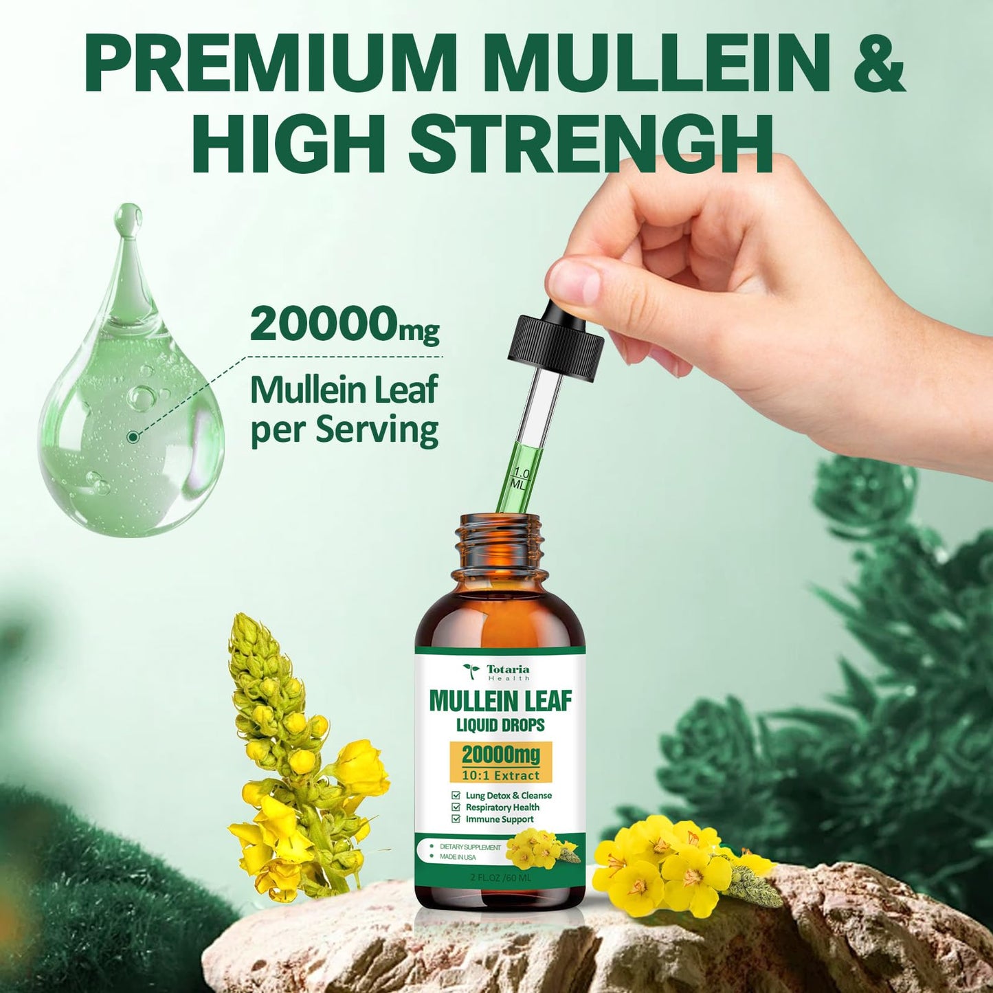 Mullein Drops for Lungs - 98% Absorption Rate 20000mg Pure Mullein Leaf per Serving - Orangic Mullein for Lung Detox & Cleanse, Respiratory Health, Immunity - Alcohol Free, Natural & Vegan - 2 FL.OZ
