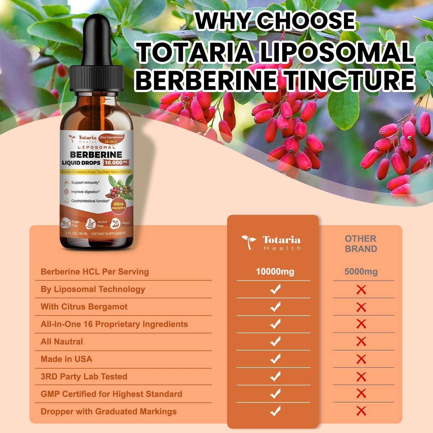 Liposomal Berberine HCl Supplement Activates AMPK & GLP-1, 10000mg (20:1 Extract) Liposomal Berberine with Green Tea, Ceylon Cinnamon Liquid Drops Supports Antioxidant, Digestive, Weight
