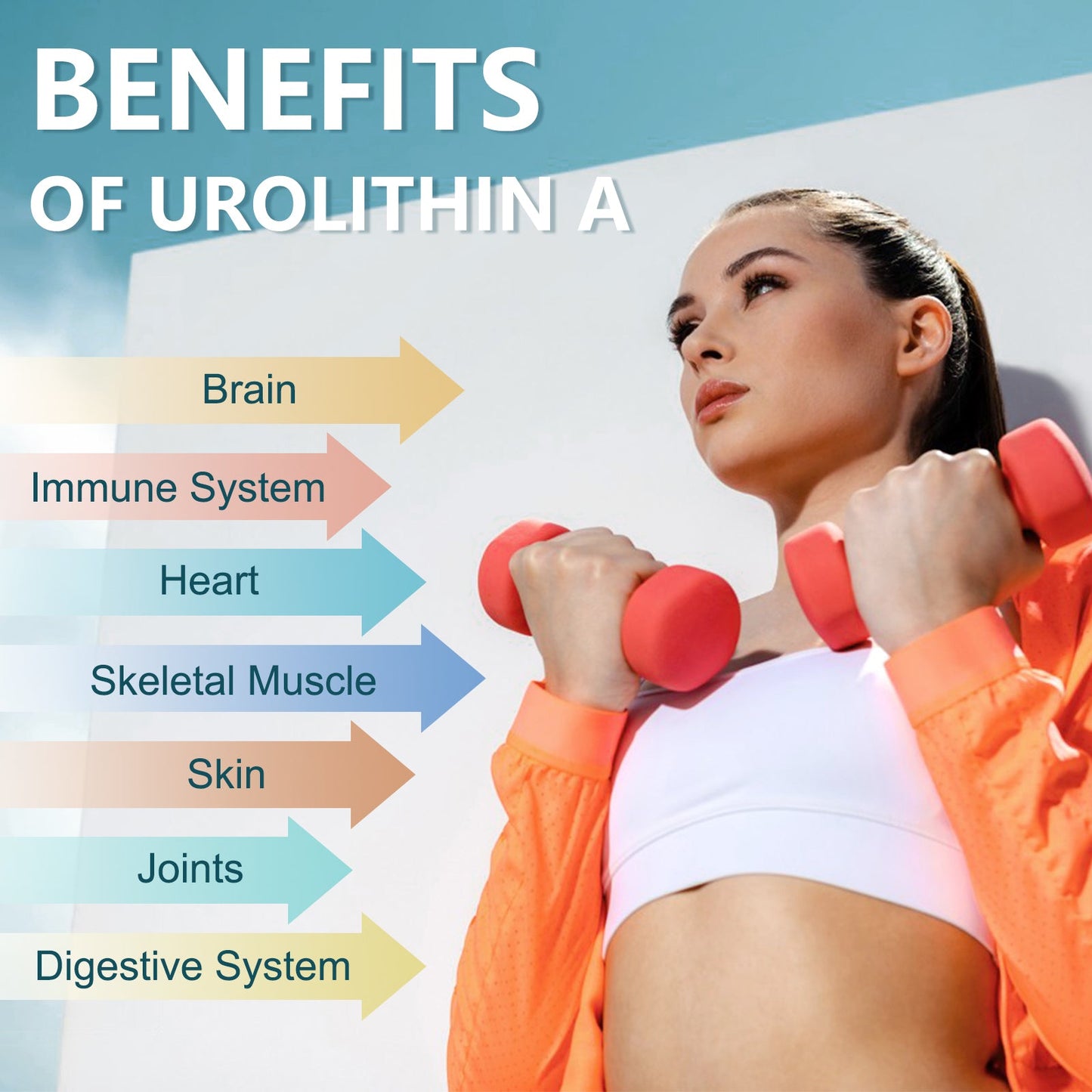 Urolithin A Supplement 1000mg with NAD+,CoQ10,Resveratrol,PQQ Supplement for Men Women 120 Softgels for Muscle Energy Antioxidants Vegan High Bioavailability