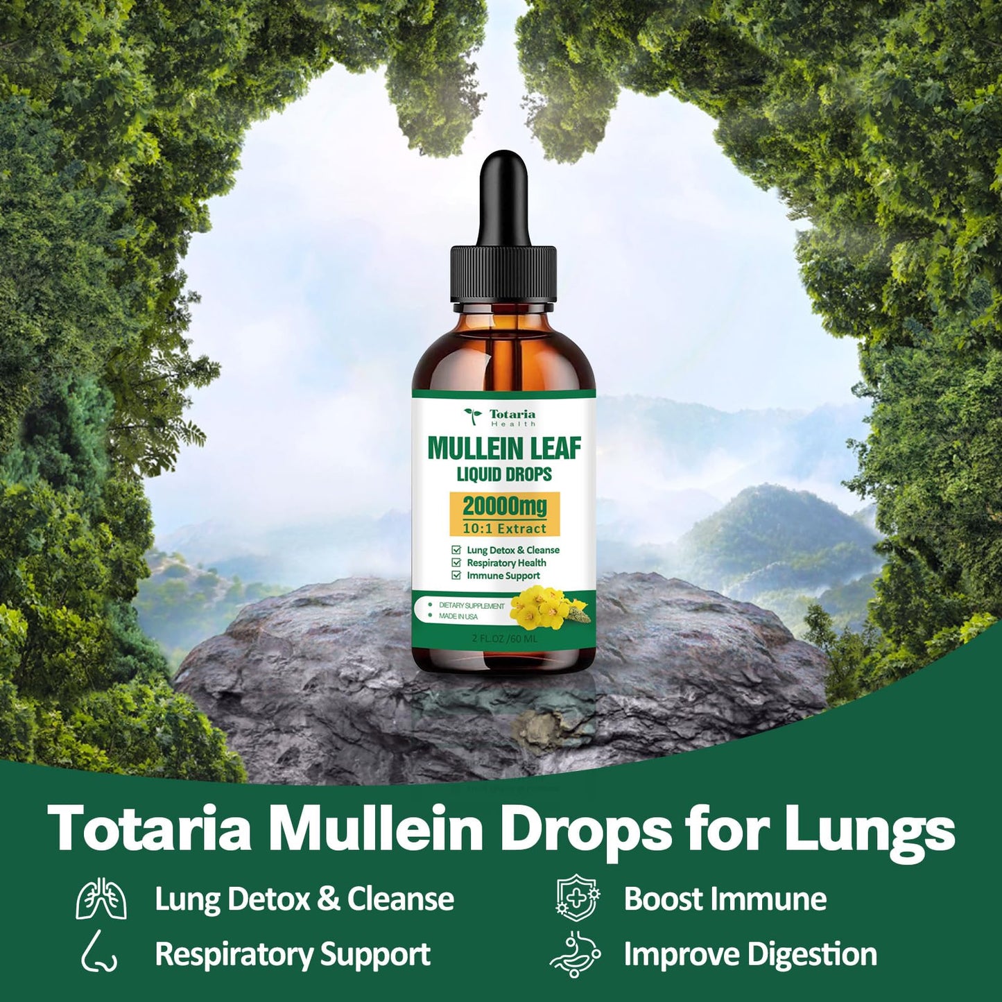 Mullein Drops for Lungs - 98% Absorption Rate 20000mg Pure Mullein Leaf per Serving - Orangic Mullein for Lung Detox & Cleanse, Respiratory Health, Immunity - Alcohol Free, Natural & Vegan - 2 FL.OZ