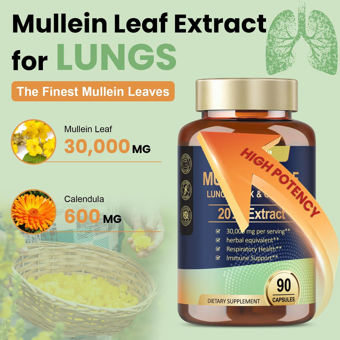 Mullein Leaf Extract for Lungs with 30000mg Mullein Leaf per Serving, Mullein Capsules with Calendula for Lung Detox & Cleanse, Herbal Supplements for Respiratory Health & Immunity - 90 Vegan Caps
