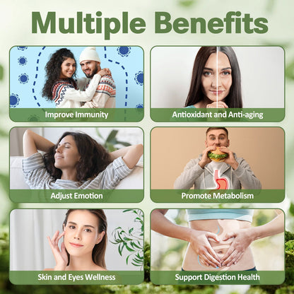 (2 FL) Pure Soursop Graviola Oil Leaf 6000mg, Soursop Fruit 500mg Liquid Drops Organic Soursop Leaves Extract Immune Support Antioxidation - Sour SOP Bitters Multivitamin Soursop Tincture Supplements