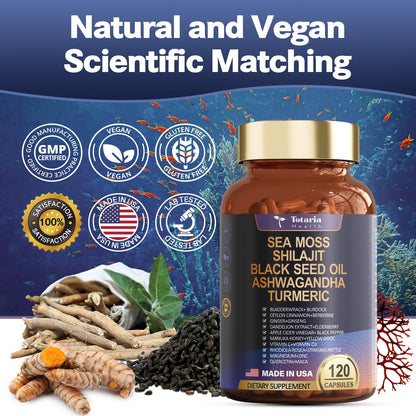 25-in-1Sea Moss Black Seed Oil Ashwagandha Ginger Shilajit Supplement 18525mg, Sea Moss Capsules with Bladder Burdock Ceylon Cinnamon Berberine ACV Manuka VIT C&D3 for Immune, Gut & Energy, 120 Caps