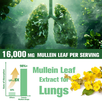 16-in-1 Mullein Drops for Lungs with 16000MG Mullein Leaf per Serving, High Potency Mullein Drops with Licorice Root, Marshmallow Root for Lungs, Respiratory and Immune Wellness, 4 FL.OZ