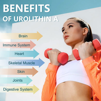 Urolithin A Supplement 1000mg with NAD+,CoQ10,Resveratrol,PQQ Supplement for Men Women 120 Softgels for Muscle Energy Antioxidants Vegan High Bioavailability
